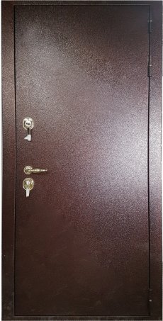 Двери для дачи CDACH-6 в Дмитрове фото