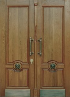 Двери двухстворчатые CDVX-22 в Дмитрове фото
