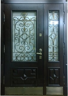 Двери уличные CUL-10 в Дмитрове фото