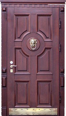 Двери в дом CKOTJ-5 в Дмитрове фото