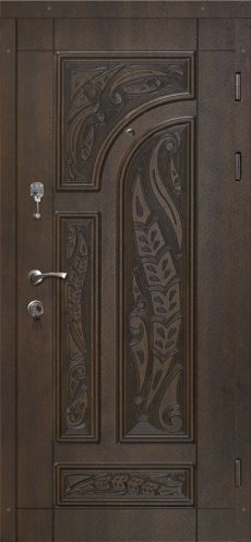 Двери в дом CKOTJ-54 в Дмитрове фото